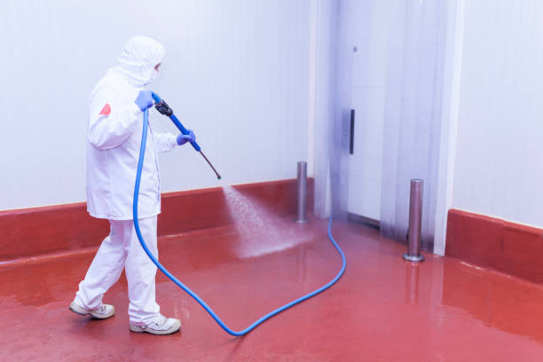 Best Pool Deck Cleaning  in Moody, AL